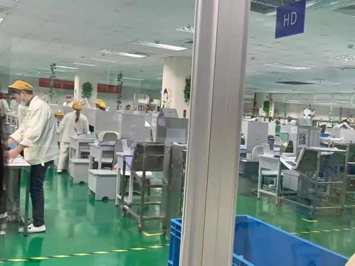 職業教育豈能敷衍？護理學生進電子廠實習引爭議